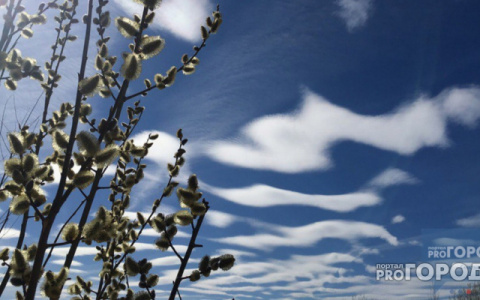Погода в Сыктывкаре на 17 апреля: морозное утро и ясный полдень