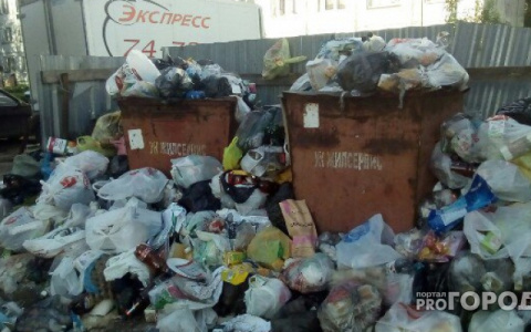 Сыктывкарские коммунальщики поголовно «забили» на обслуживание мусорных баков