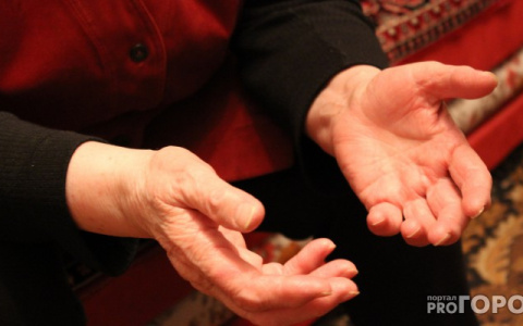 В Сыктывкаре многодетная гостья из Брянска украла у пенсионерки 150 долларов США