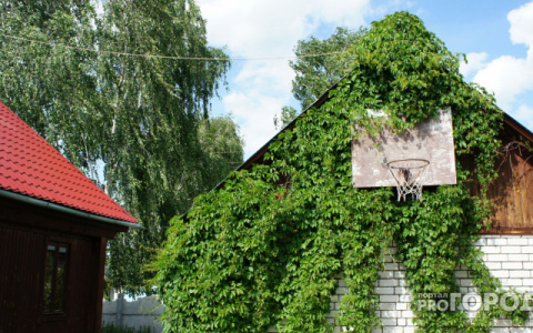 Жители Коми, которые безвылазно живут на дачах, смогут меньше платить за мусор