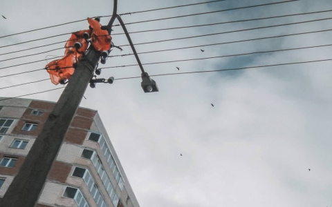 Фото дня: снимок с «изюминкой» или птицы в небе над Сыктывкаром