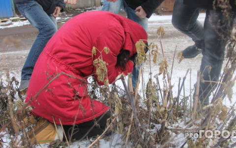 Сыктывкарский юрист рассказала, что делать школьнику, которого избивают и унижают