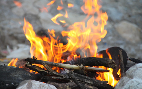 В Сыктывкаре объявлен особый противопожарный режим