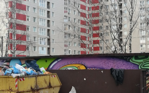 Фото дня в Сыктывкаре: скрытое за мусором искусство в городском дворе