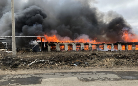 В Сыктывкаре полсотни пожарных тушили деревообрабатывающий комбинат (фото)