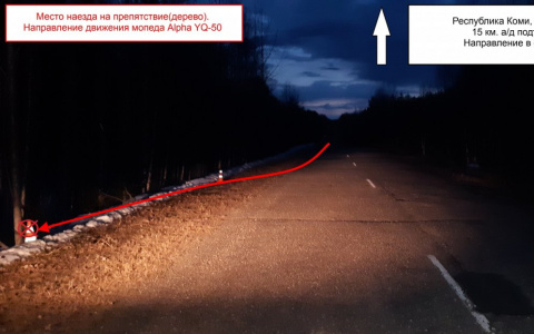 В Коми погиб водитель мопеда, который врезался в дерево