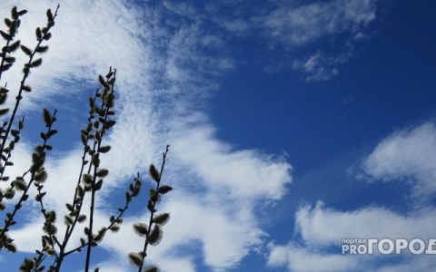 Погода в Сыктывкаре на 8 мая: тепло и солнечно