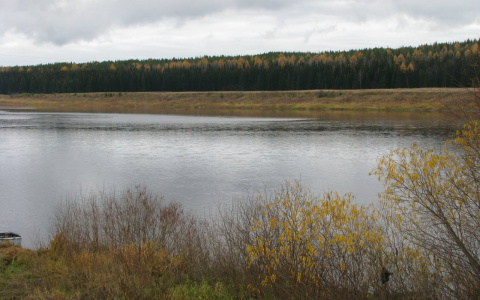 В Коми на берегу реки обнаружили тело человека