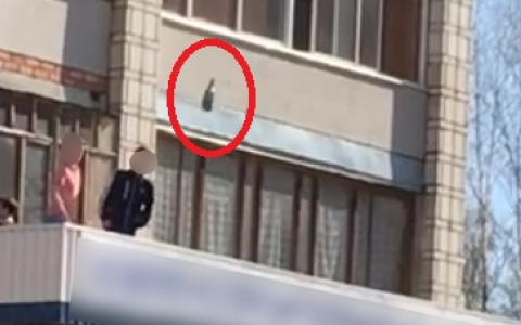 В Сыктывкаре подростки с крыши кидались бутылками с алкоголем (фото)