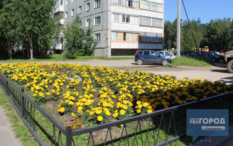 Погода в Сыктывкаре на 12 мая: летняя жара не отступает
