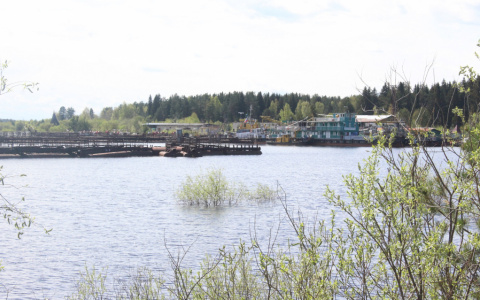 Погода в Сыктывкаре на 13 мая: будет жара и гроза