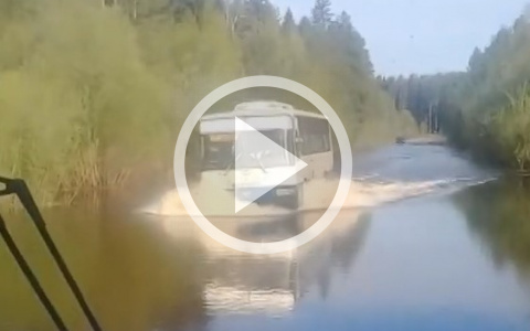 В Сыктывкаре водитель устроил «заплыв» по реке на пассажирском автобусе (видео)