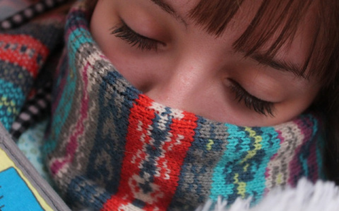 В сыктывкарских школах и детсадах снова включат батареи