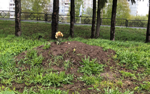 В сыктывкарском ТРЦ рассказали, откуда взялась «могила» на их парковке