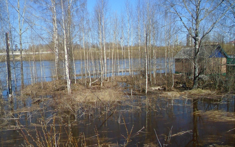 Паводок в районе Сыктывкара отступает