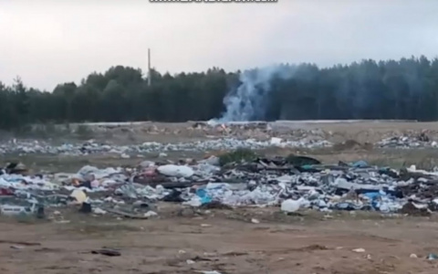 В Коми загорелся мусор на поле, которое превратили в гигантскую свалку (видео)