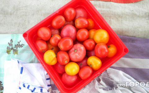 В Коми стали дешевле яйца, но подорожал лук