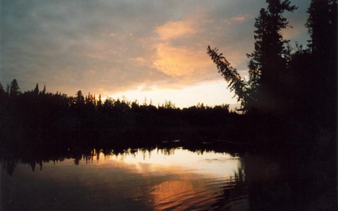 В Коми ищут пенсионера, который пошел проверить рыболовную сеть и исчез