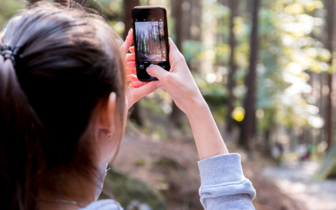 В майские праздники абоненты Tele2 из Республики Коми посетили 75 стран