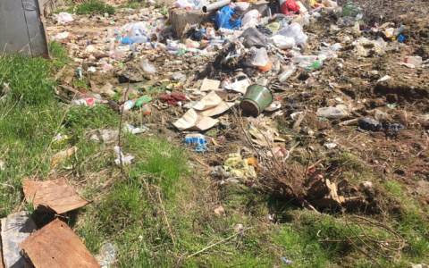 «Сами свиньи»: сыктывкарцы о страшной свалке под окнами жилого дома