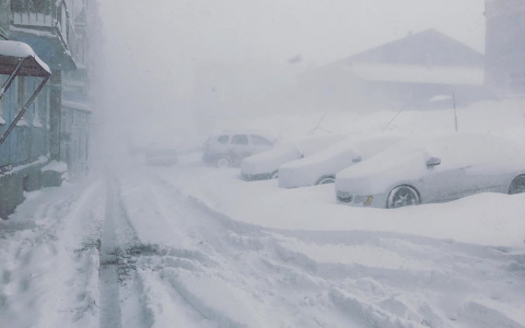 Фото пурги за несколько дней до лета в Коми поразило всю Россию