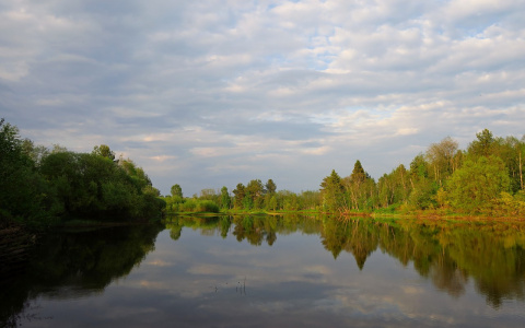Житель Коми, тело которого искали спасатели, «воскрес» и вернулся домой