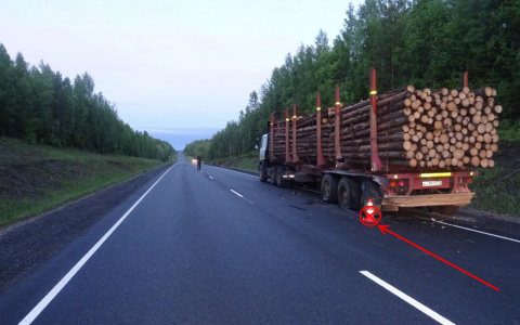 В Коми молодой водитель «Хонды» протаранил лесовоз