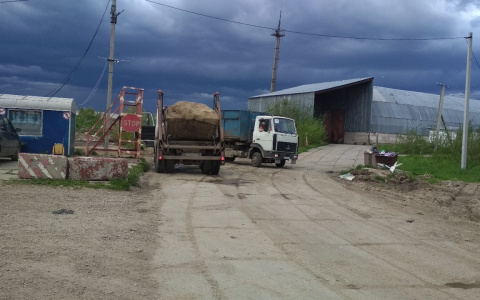 Регоператор Коми прикроет «серые» схемы вывоза отходов