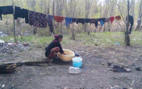 Полиция не нашла нелегалов среди иностранцев, которые клянчили деньги у жителей Коми