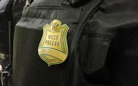 Из Коми выдворили лесоруба, который оказался нелегалом из Германии