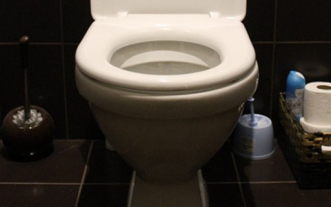 Жительница Коми стащила у подруги деньги и смыла их в унитаз