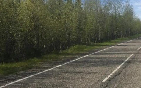 На трассе в Коми съехал в кювет пьяный начинающий водитель