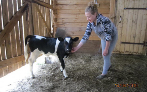 Школьница из Коми выиграла 800 тысяч и поехала пасти коров (видео)
