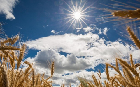 Погода в Сыктывкаре на 28 июня: температура продолжит расти