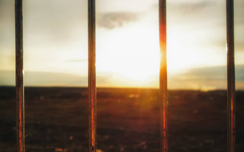 Фото дня в Сыктывкаре: солнечный закат в корзине для продуктов