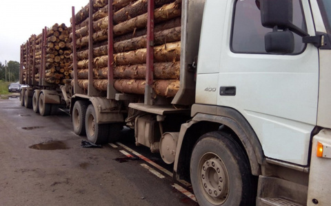 В России за перегруз будут лишать машины и прав