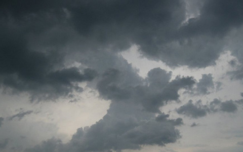 Погода в Сыктывкаре на 5 июля: на улице похолодает