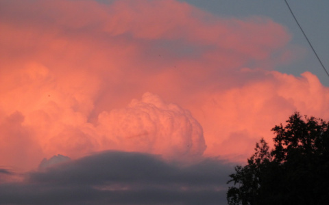 Погода в Сыктывкаре на 6 июля: небо затянет серыми облаками