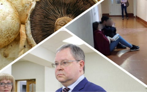 Итоги недели в Коми: отставка мэра Сыктывкара, герои среди нас и «золотое» мясо