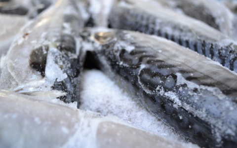 В Коми подскочили цены на рыбу, но подешевел лук