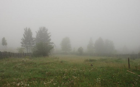 Холодное лето заставило жителей России скупать теплые свитера и резиновые сапоги