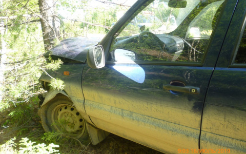 В Коми пожилой водитель на «Ниве» влетел в дерево, пострадала 2-летняя девочка