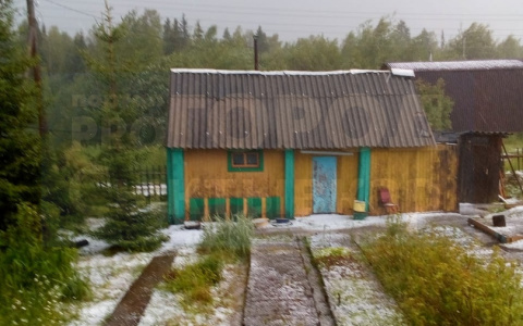 Под Сыктывкаром град покрыл грядки густым слоем льда и побил урожай (фото)