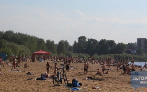 Погода в Сыктывкаре на 24 июля: тепло, солнечно и ясно