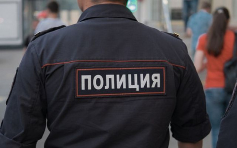 В МВД России рассказали, что именно может оскорбить власть