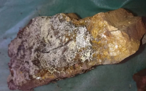 Булыжники за 150 миллионов и рыцарский шлем: топ 5 удивительных вещей с сайтов объявлений в Коми