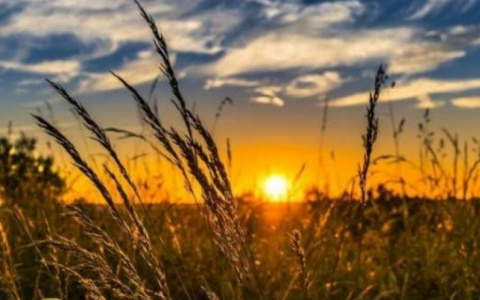 Погода в Сыктывкаре на 26 июля: жаркое солнце и легкий ветерок