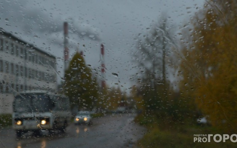 Погода в Сыктывкаре на 27 июля: резкое похолодание и проливные дожди