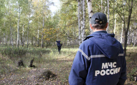 На водоеме под Сыктывкаром пропал школьник