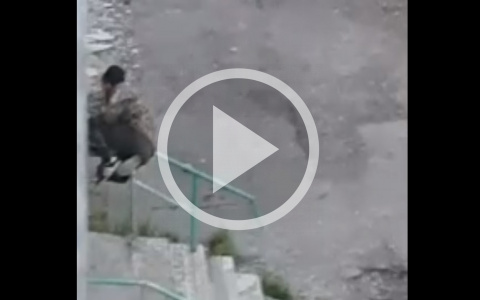 «Новый вид птиц»: житель Коми спал на перилах, как на жердочке (видео)